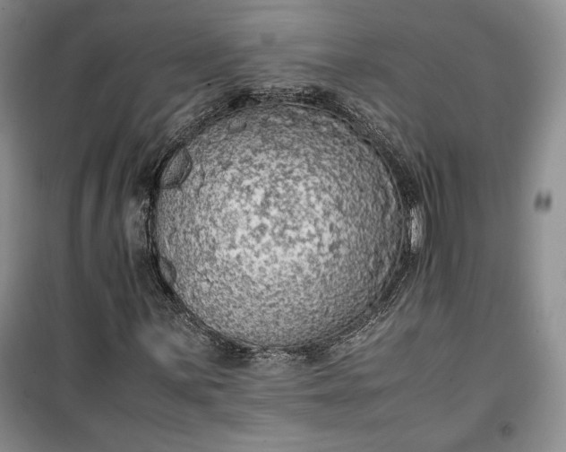 X0000100191059200806131203