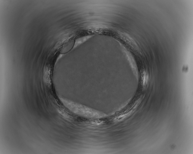 X0000100191060200806131203