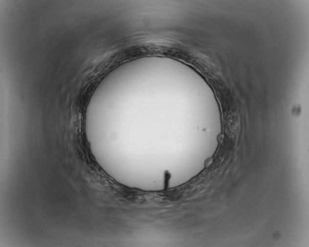 X0000100191061200806131203