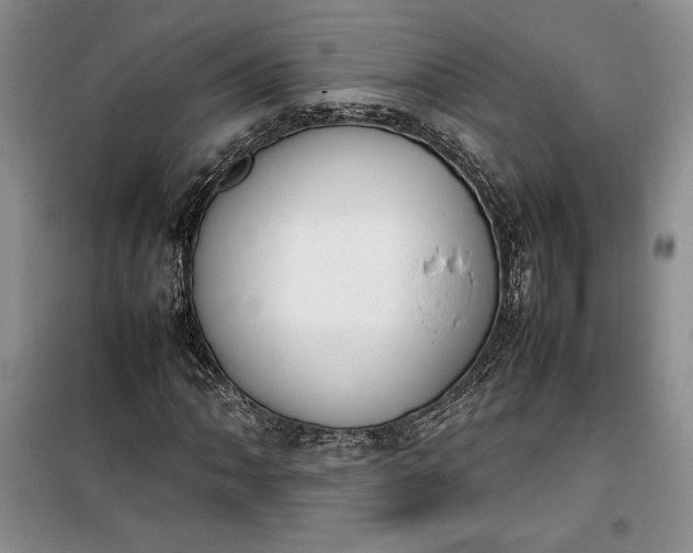 X0000100191062200806131202