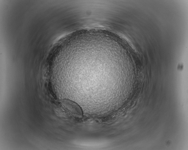 X0000100191063200806131202