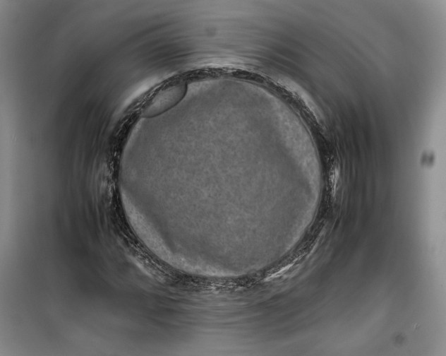 X0000100191064200806131202