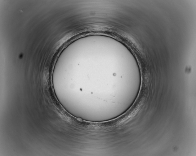 X0000100191065200806131202