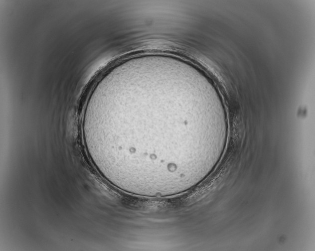 X0000100191067200806131202