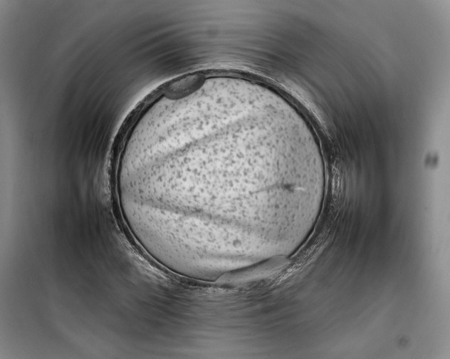 X0000100191068200806131202