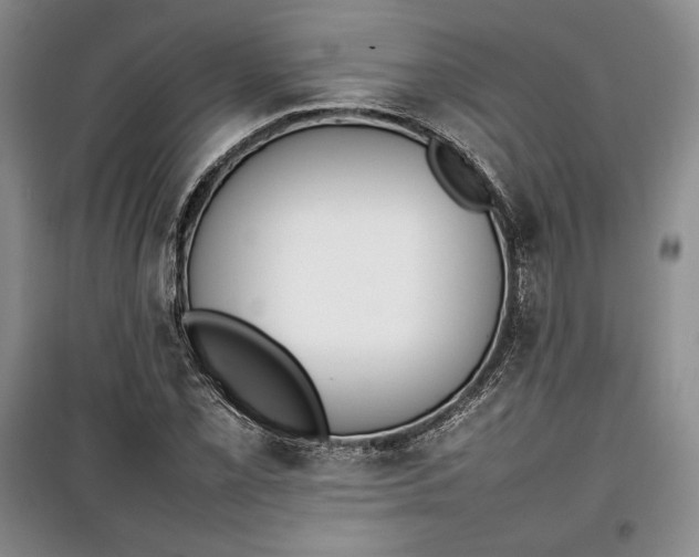 X0000100191069200806131202