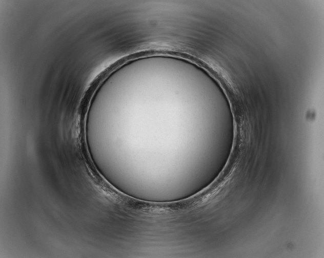 X0000100191070200806131202