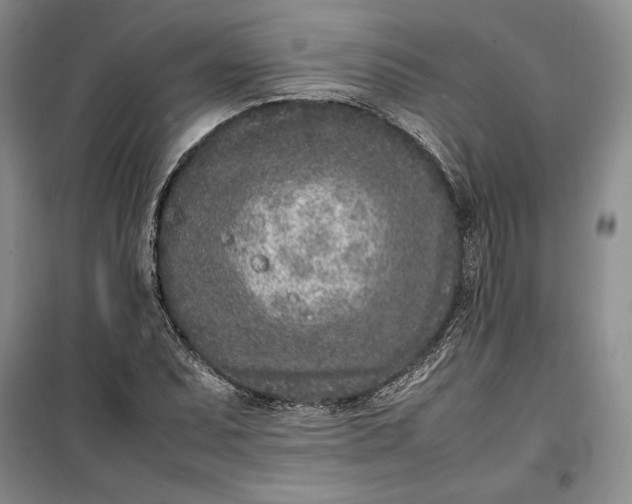 X0000100191071200806131202