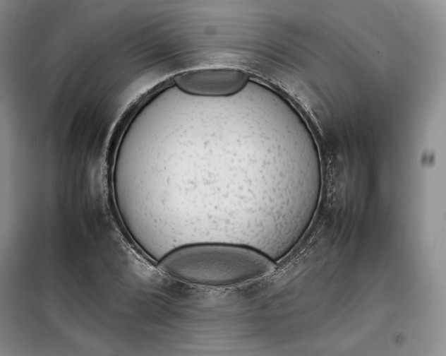 X0000100191072200806131202