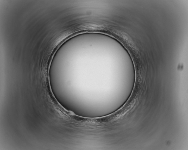 X0000100191073200806131202