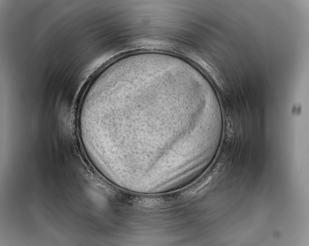 X0000100191074200806131202