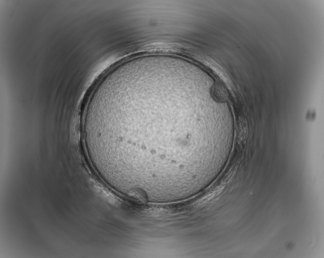 X0000100191075200806131202