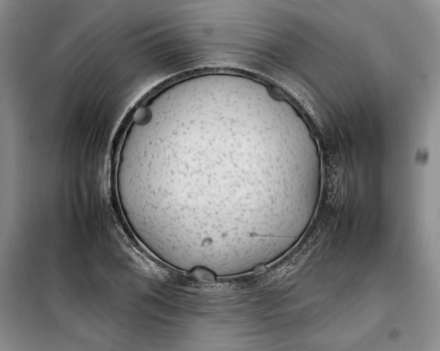 X0000100191076200806131202