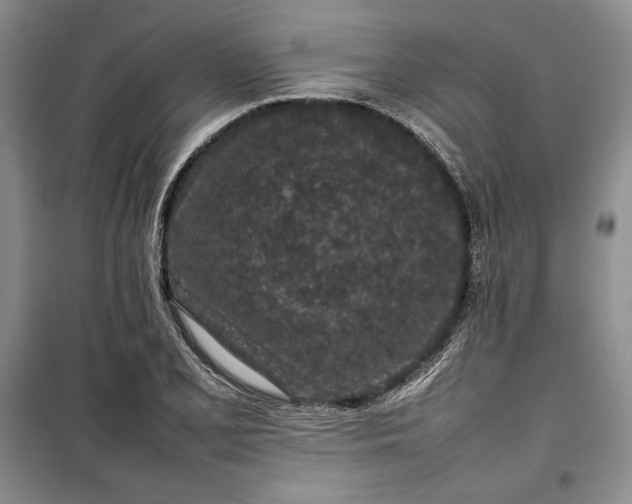 X0000100191077200806131202