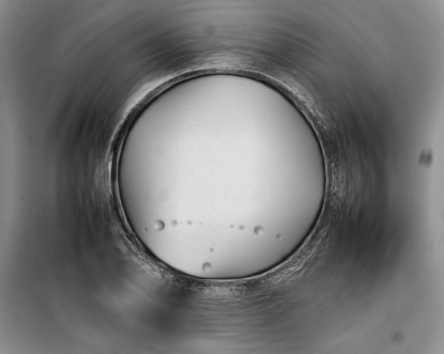 X0000100191078200806131202