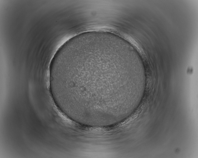 X0000100191079200806131202