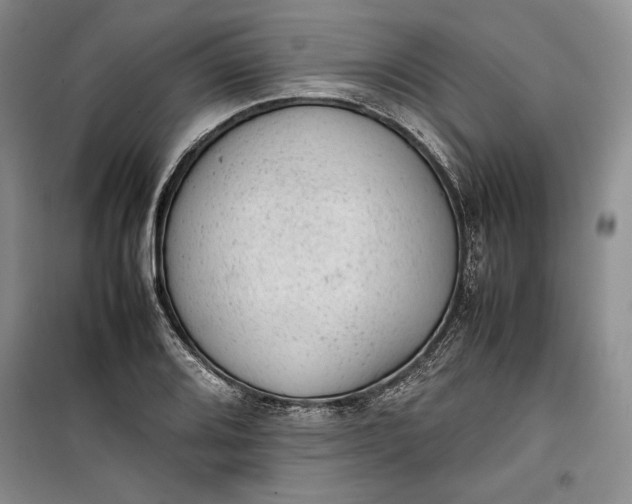 X0000100191080200806131202