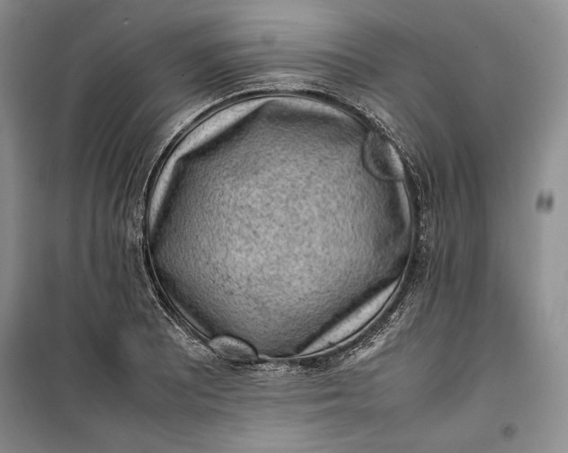 X0000100191081200806131202