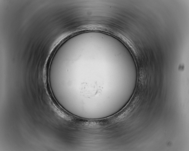 X0000100191082200806131202