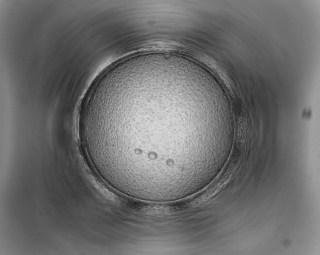 X0000100191083200806131202