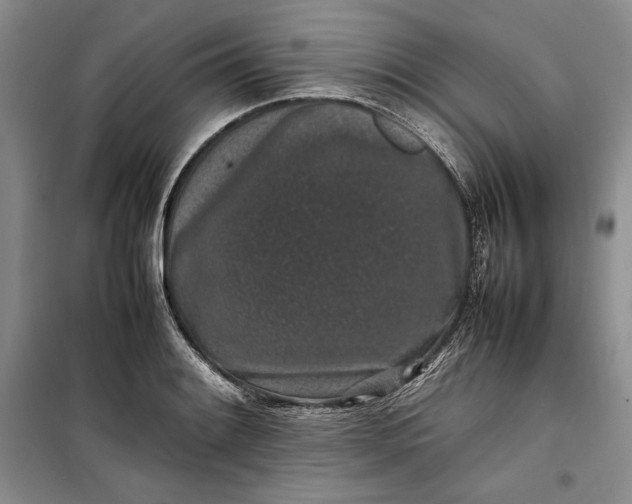 X0000100191084200806131202