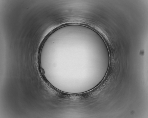 X0000100191085200806131202