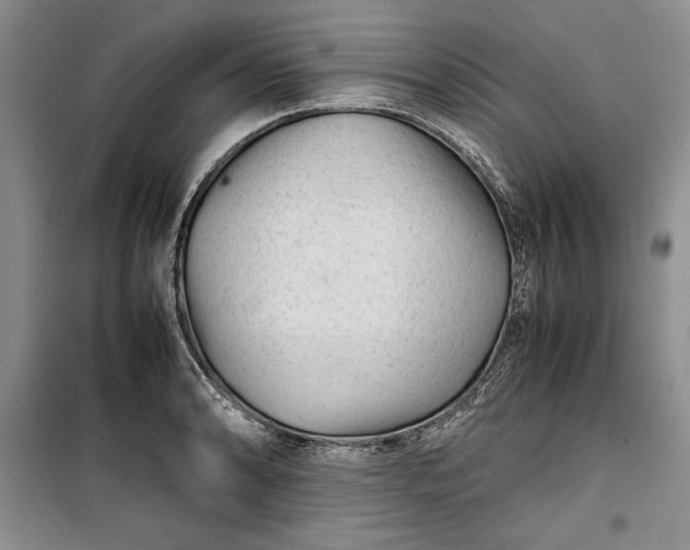 X0000100191086200806131202