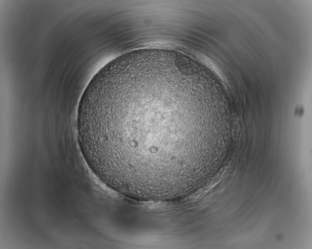 X0000100191087200806131202