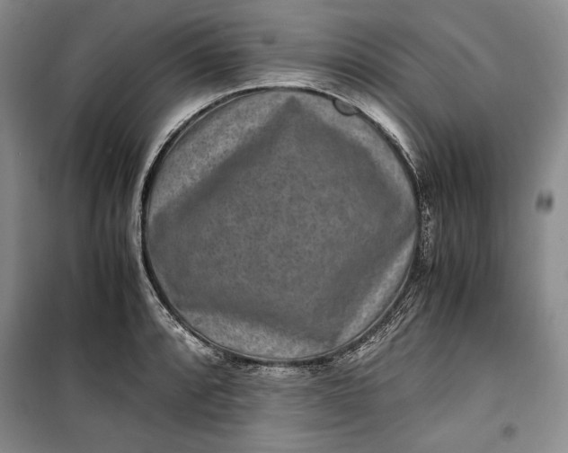 X0000100191088200806131202