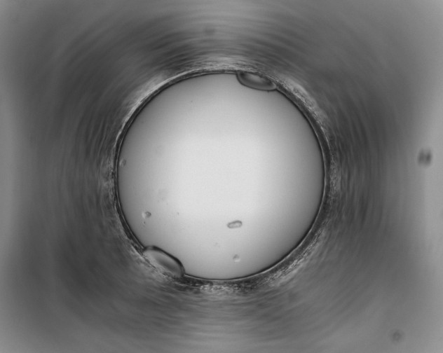 X0000100191089200806131202