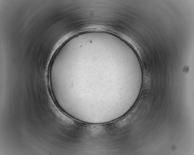 X0000100191090200806131202