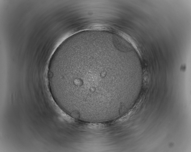 X0000100191091200806131202