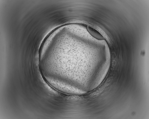 X0000100191092200806131202