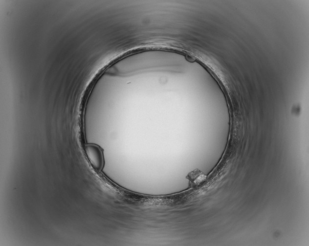 X0000100191093200806131202