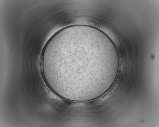 X0000100191094200806131202