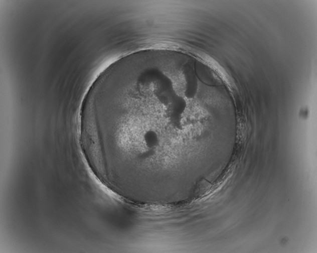 X0000100191095200806131202