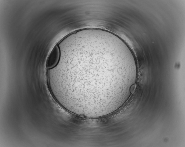 X0000100191096200806131202