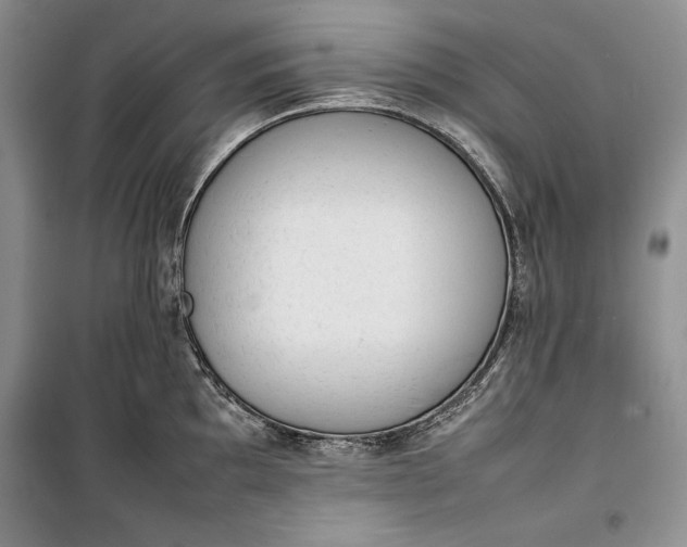 X0000100191097200806131202