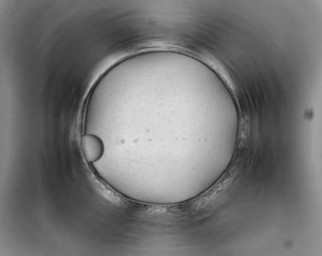 X0000100191098200806131202