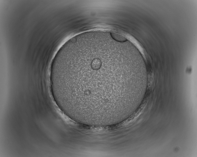 X0000100191099200806131202