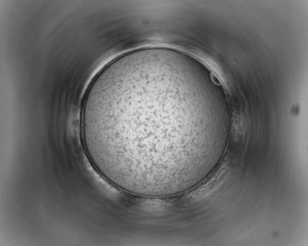 X0000100191100200806131202