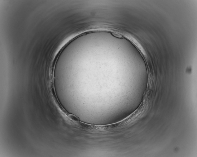 X0000100191101200806131202