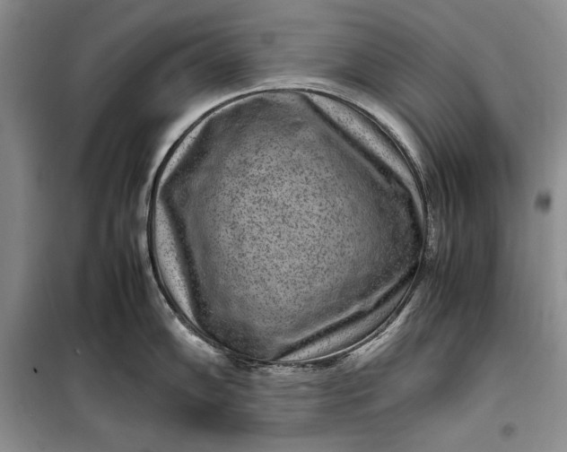 X0000100191102200806131202