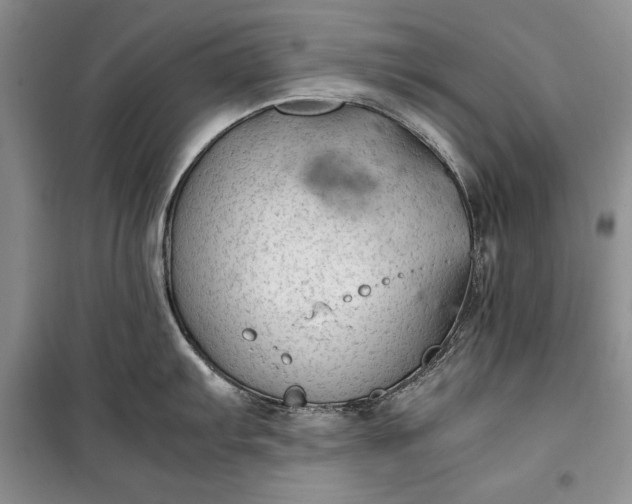 X0000100191103200806131202