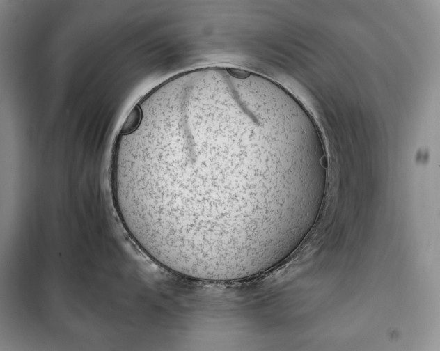 X0000100191104200806131202