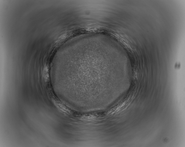 X0000100191106200806131201