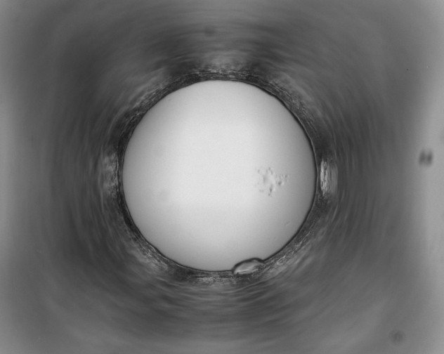 X0000100191107200806131201