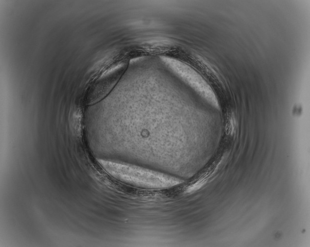 X0000100191108200806131201