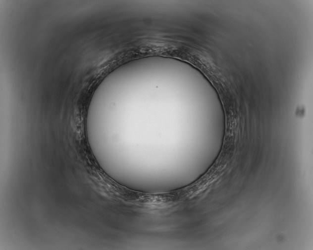 X0000100191109200806131201