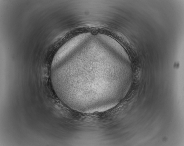 X0000100191110200806131201